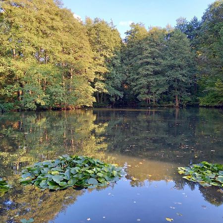 Ferienwohnung Am Waldsee Mit Schwimmbad Gernsbach Exterior photo